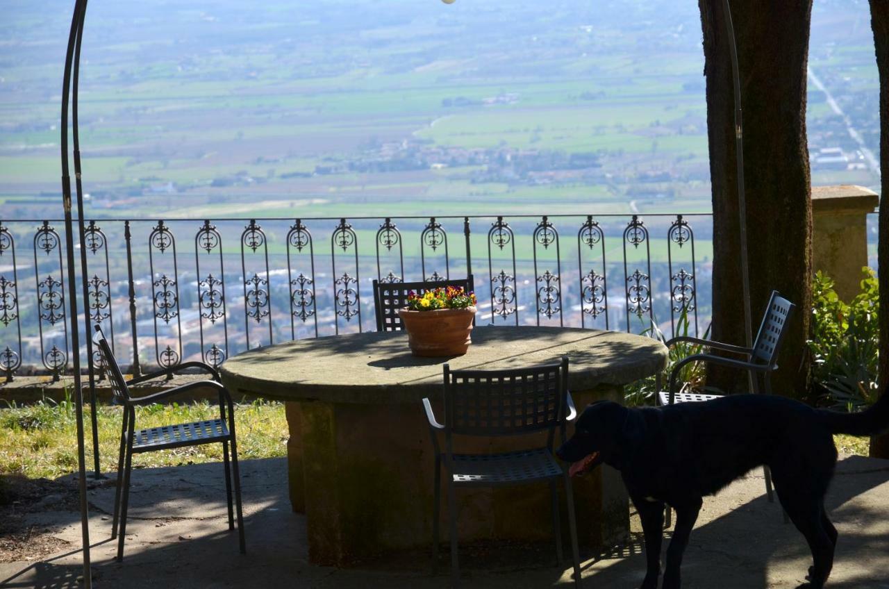 Apartament Donnaberarda Cortona Zewnętrze zdjęcie